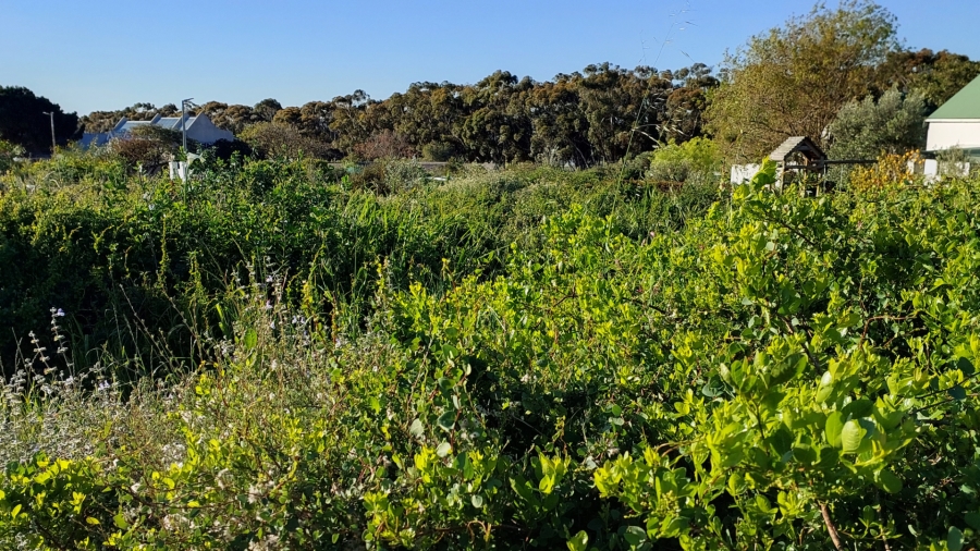 0 Bedroom Property for Sale in Darling Western Cape